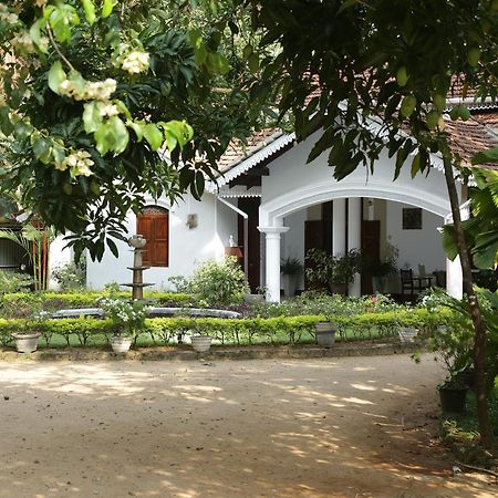 Kithulvilla Holiday Bungalow Kitulgala Dış mekan fotoğraf