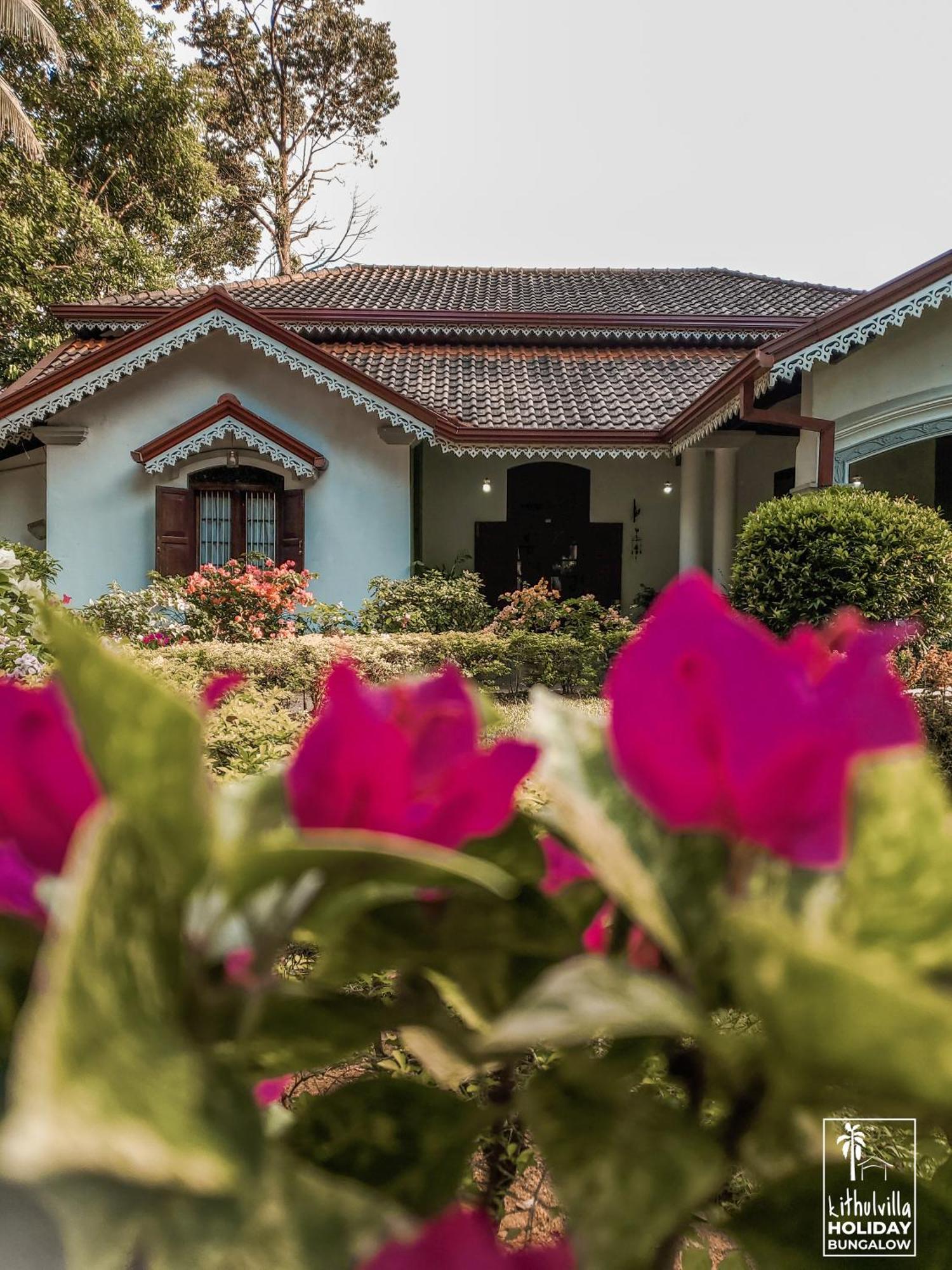 Kithulvilla Holiday Bungalow Kitulgala Dış mekan fotoğraf
