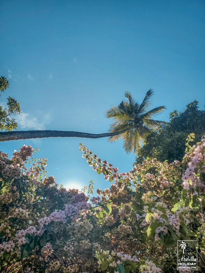 Kithulvilla Holiday Bungalow Kitulgala Dış mekan fotoğraf