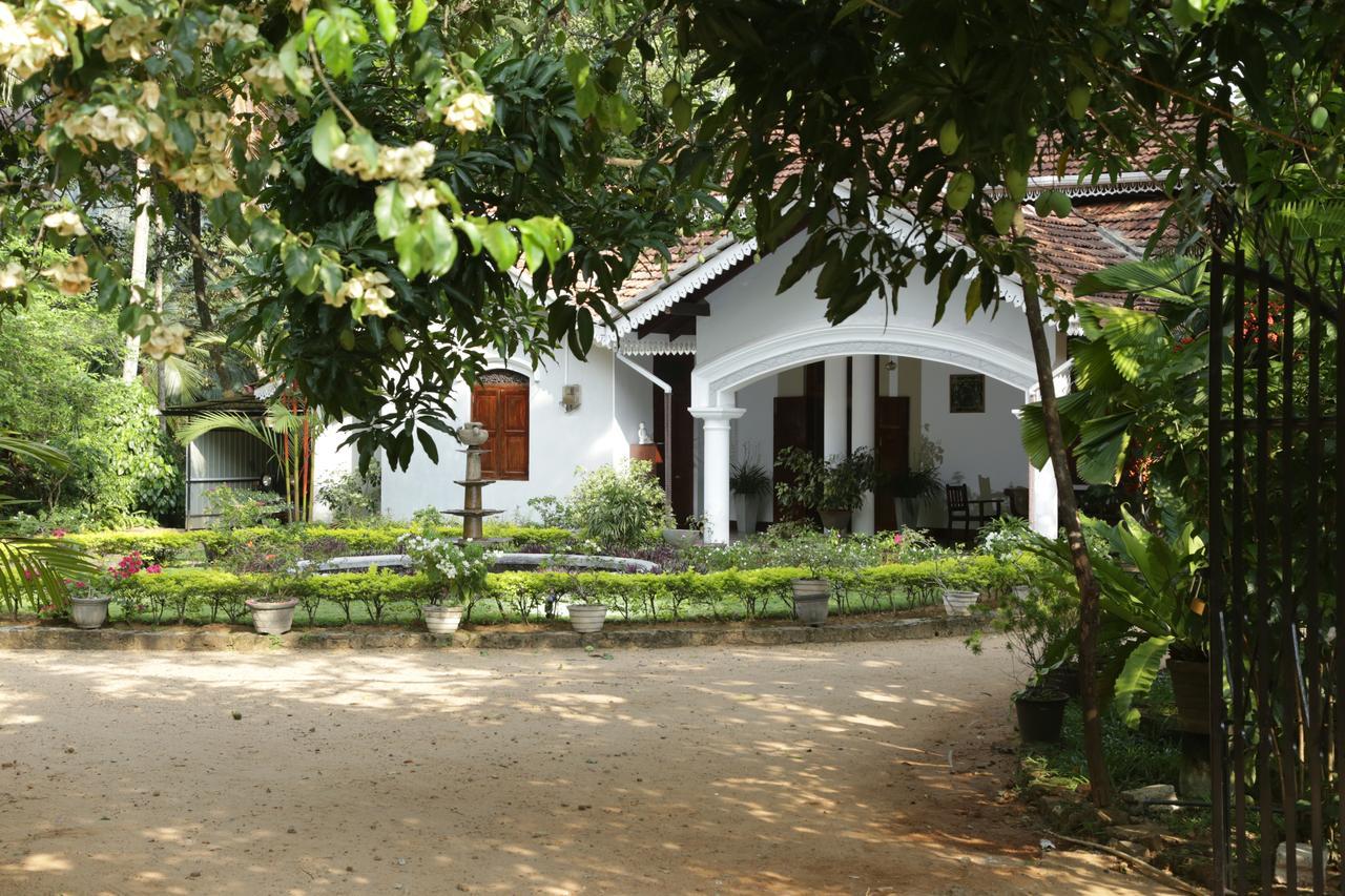 Kithulvilla Holiday Bungalow Kitulgala Dış mekan fotoğraf
